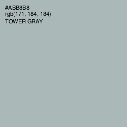 #ABB8B8 - Tower Gray Color Image